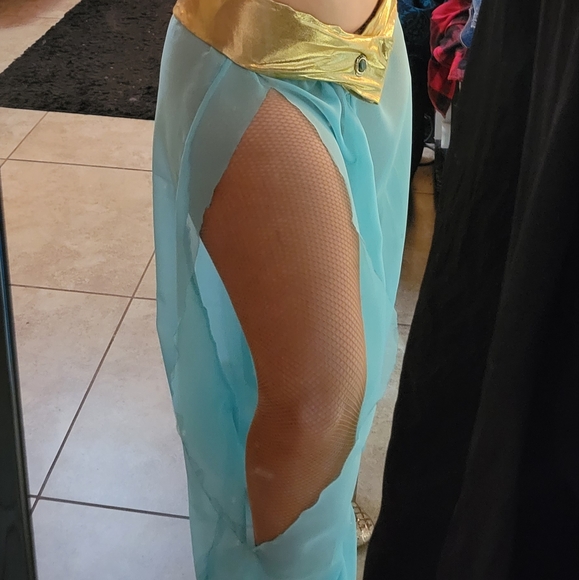 Princess Jasmine Handmade Cosplay - Picture 4 of 6